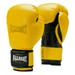 RĘKAWICE BOKSERSKIE LIMITED EDITION 8oz