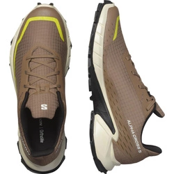 Buty Salomon Alphacross 5 474601