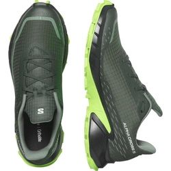 Buty Salomon Alphacross 5 473117