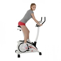 Rower Christopeit AL2 srebrny