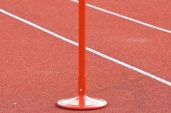 Wskaźnik kierunku wiatru Polanik WI-S301