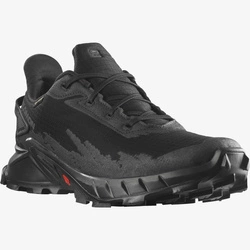 Buty Salomon Alphacross 4 GTX 470640