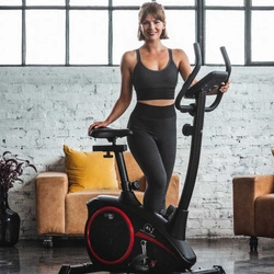 Rower Christopeit AL1 czarny