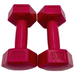 Zestaw Hantli Kompozytowych 2x1 kg Eb Fit