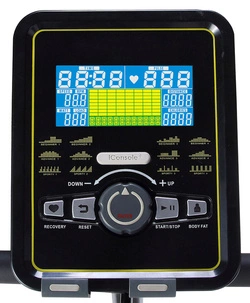 Rower Pionowy B20 Skyline DS