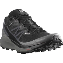 Buty trailowe Salomon Sense Ride 4 Invisible GTX 413071