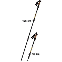 Kije Nordic walking w pokrowcu EVO Enero Pro czarny mat