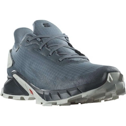 Buty Salomon Alphacross 4 GTX 471168
