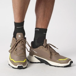 Buty Salomon Alphacross 5 474601