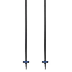 Kije narciarskie Salomon X10 Ergo S3