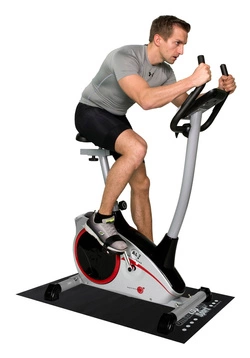 Rower Christopeit AL2 srebrny