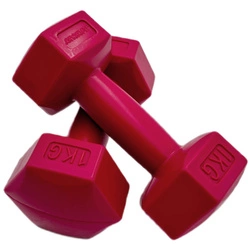 Zestaw Hantli Kompozytowych 2x1 kg Eb Fit