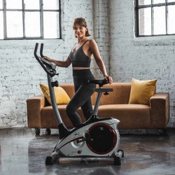 Rower Christopeit AL1 srebrny