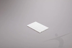 Belka szkolna Polanik S-0294