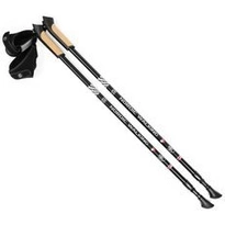 Kijki Nordic Walking regulowane SMJ Sport Long Life