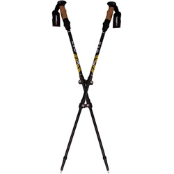 Kije Nordic walking w pokrowcu EVO Enero Pro czarny mat