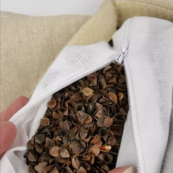 DESKOROLKA Altbee minicruiser RED