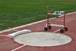 Koło rzutowe Polanik S-243