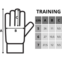RĘKAWICE BRAMKARSKIE ENERO TRAINING R.7