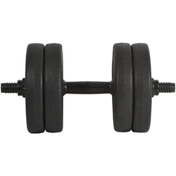 Hantla kompozytowa 11kg (10+1) Eb fit