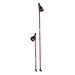 Kije nordic walking NW802 NILS EXTREME