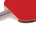 Rakietka do tenisa stołowego Spokey Competitor 921709