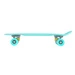PENNYBOARD CLASSIC GREEN NILS EXTREME