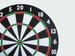 Tarcza dart Pegasus