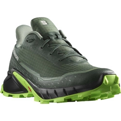 Buty Salomon Alphacross 5 473117