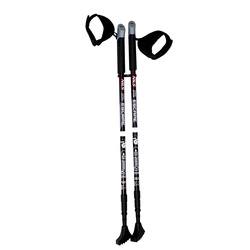Kije nordic walking NW608 NILS EXTREME