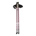 Kije nordic walking NW802 NILS EXTREME