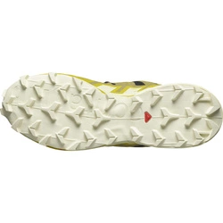 Buty trailowe Salomon Speedcross 6 473015