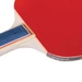 Rakietka do tenisa stołowego Spokey Training Pro