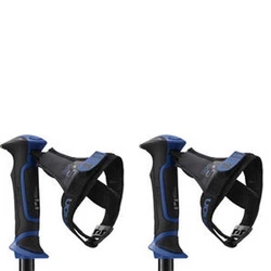 Kije narciarskie Salomon X10 Ergo S3