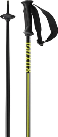 Kije narciarskie Salomon X 08