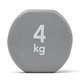 4 kg
