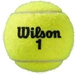 PIŁKA TENIS ZIEMNY WILSON ALL COURT ROLAND GARROS 3SZT ITF