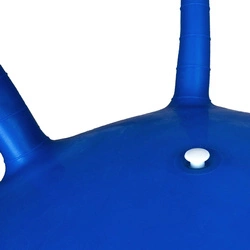 Piłka do skakania Profit 55 cm niebieska DK 2103