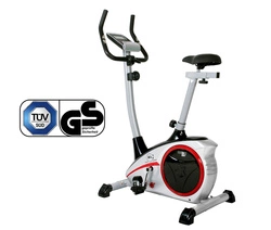 Rower Christopeit AL1 srebrny