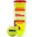 Piłki do tenisa ziemnego Wilson Championship 3 szt WRT100101