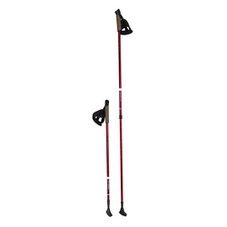 Kije nordic walking NW802 NILS EXTREME