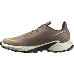 Buty Salomon Alphacross 5 474601