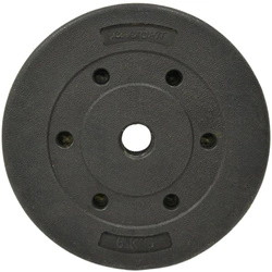 Obciążenie betonowe kompozytowe 5kg Eb Fit Fi29,5