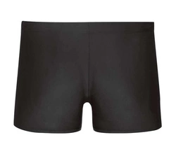 Kąpielówki męskie Speedo Dive Asht AM 8-11742F318