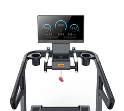 Bieżnia Treningowa Freelander 6363 LED Gymost