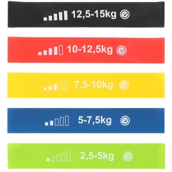 Zestaw gum do ćwiczeń fitness crossfit mini band 5W1 Eb fit