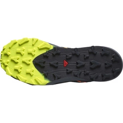 Buty trailowe Salomon Thundercross 4729540