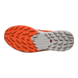 Buty trailowe Salomon Sense Ride 5 470462
